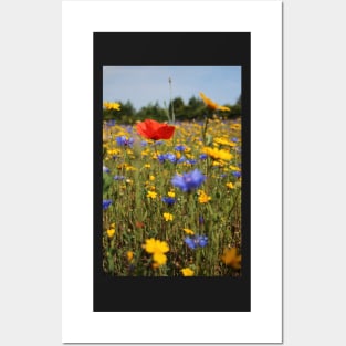 Wildflower meadow Posters and Art